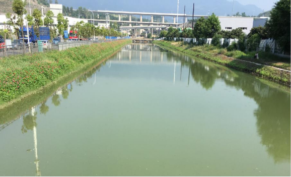 DB电竞